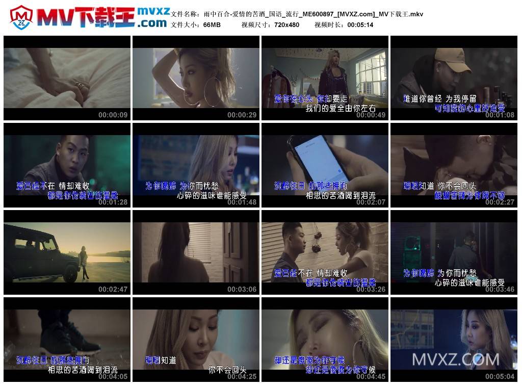 雨中百合-爱情的苦酒_国语_流行_ME600897
